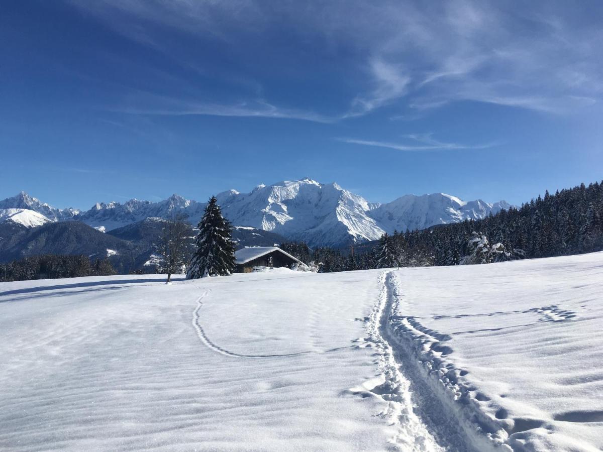 Chalet L'Aiglon Saint-Gervais-les-Bains Kültér fotó